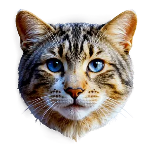 Cat Face Icon PNG 06122024 PNG