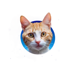 Cat Face In Space PNG 06122024