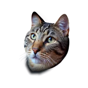 Cat Face In Space PNG 95 PNG