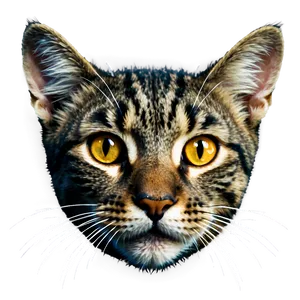 Cat Face PNG Tup20 PNG