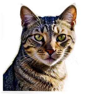Cat Face Silhouette PNG Dkw21 PNG