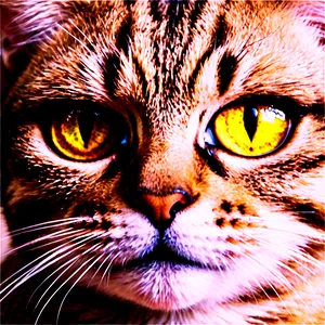 Cat Face With Glasses PNG 76
