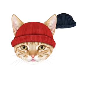 Cat Face With Hat PNG 06122024