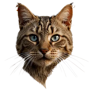 Cat Face With Whiskers PNG Ebm91 PNG
