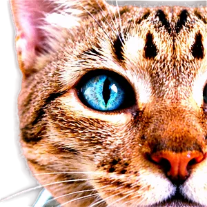Cat Face With Whiskers PNG Ltc33 PNG