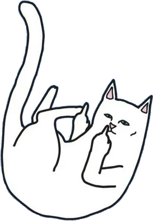 Cat Giving Middle Finger PNG image
