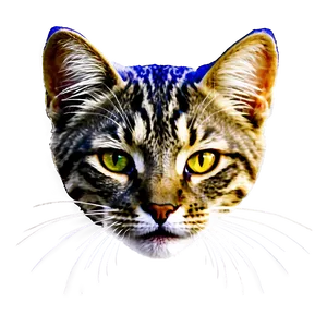 Cat Head C PNG image