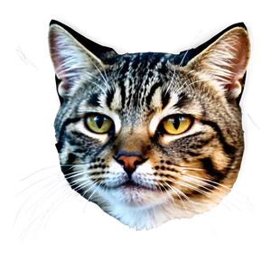 Cat Head D PNG image