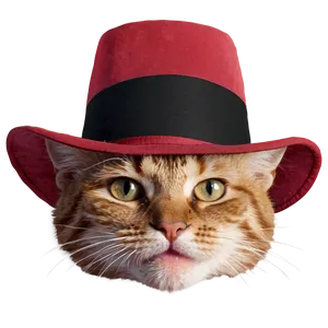 Cat In Hat Png 05232024 PNG image