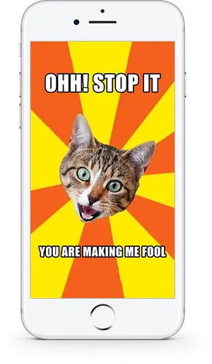 Cat Meme Ohh Stop It You Are Making Me Fool PNG image