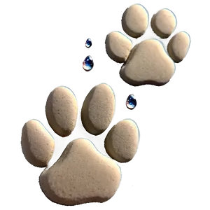 Cat Paw Print In Sand Png 29 PNG image