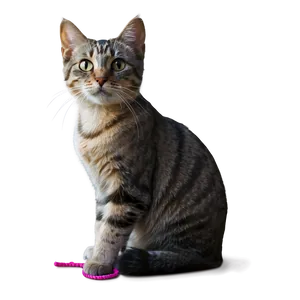 Cat With Yarn Transparent Ptm53 PNG