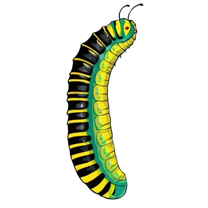 Caterpillar Becoming Chrysalis PNG Aet PNG