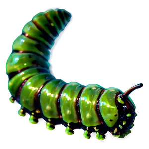 Caterpillar Becoming Chrysalis PNG Lbg84 PNG