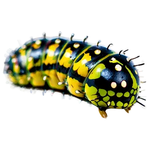 Caterpillar Close-up PNG 78