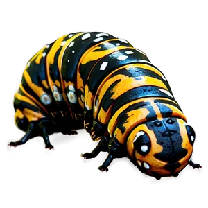 Caterpillar Close-up PNG Sfn53