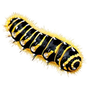 Caterpillar Close-up PNG Sic