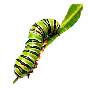 Caterpillar Eating Leaf PNG 05232024