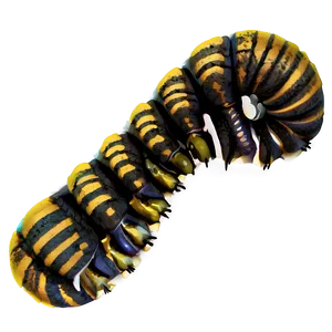 Caterpillar Footprint Track PNG Eaf32 PNG