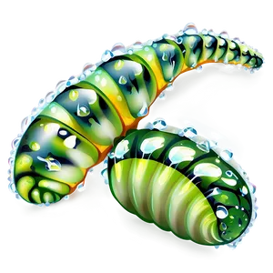 Caterpillar In Dewdrops PNG 05232024