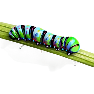 Caterpillar In Grass PNG 05232024