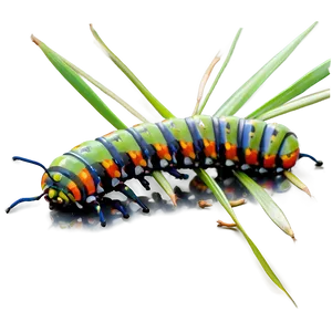 Caterpillar In Habitat PNG Baf54