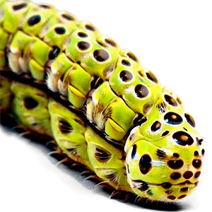 Caterpillar In Habitat PNG Leq65
