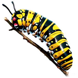 Caterpillar In Nature PNG 17