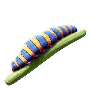 Caterpillar Life Cycle Diagram PNG 22