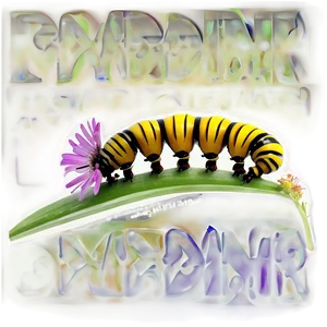Caterpillar On Flower PNG 27 PNG