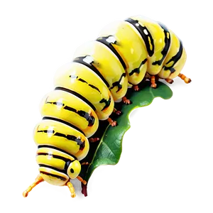 Caterpillar On Leaf PNG Guk