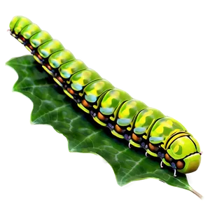 Caterpillar On Leaf PNG Kro81
