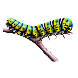 Caterpillar On Twig PNG Rns18