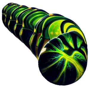 Caterpillar Transformation Sequence PNG 05232024