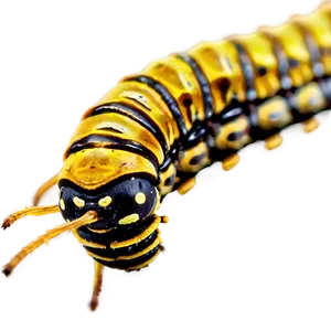 Caterpillar Under Microscope PNG Eey8