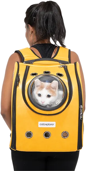 Catin Backpack Window