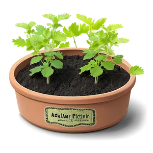 Catnip Growing Kit Png 60 PNG image