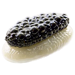 Caviar Culinary Art PNG Ayp