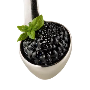 Caviar Spoonful PNG 06252024