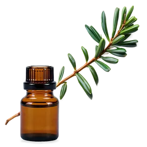 Cedar Atlas Essential Oil Png 84 PNG image