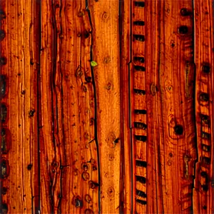 Cedar Wood Grain Png Hlb PNG image