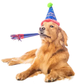 Celebratory Dog With Party Hat PNG image