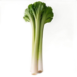 Celery Bundle PNG 49
