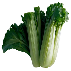 Celery D