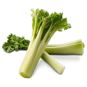 Celery Farm Fresh Png Lgr PNG image