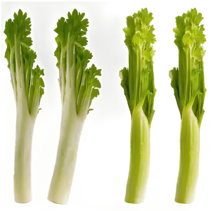 Celery Farm Fresh PNG Ssc80 PNG
