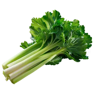 Celery Farm Fresh Png Wxq75 PNG image