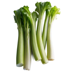 Celery For Cooking PNG Hiu19