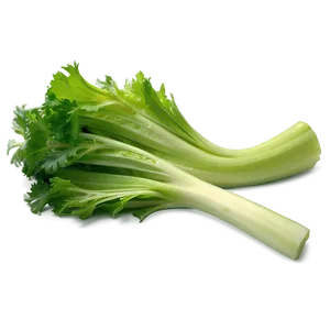 Celery For Cooking Png Sjy20 PNG image