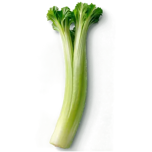 Celery For Detox PNG 06252024